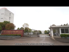 Firmeneinleitung biologischer Technologie Wuhans Unioasis