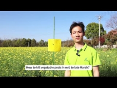 Landwirtschaftliches Bio Insektizid Kohl Raupen Diamant Rückenmaul Larven biologisches Pestizid