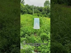 Schädlingsfalle Insektenfalle Rüben Armeewurm in Mais Kohlwurm Brokkoli-Fangerei