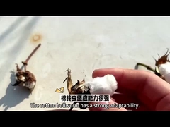 Die wirksamste Wahl HaNPV Bt Biologisches Pestizid für Baumwollkulturen