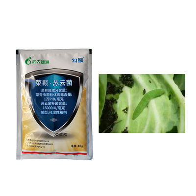 Brassicaceous Vegetable Pest Killing Organic Certificate Biopesticides PrGV WP