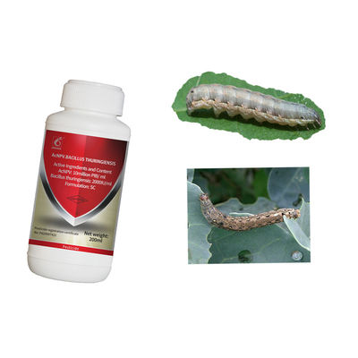 Pesticide AcNPV Agricultural Farm Insecticide Kill Pine Worm American White Moth pests
