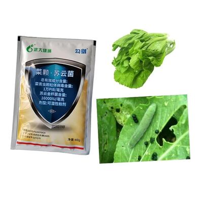 Fall Army Worm beet Army Worm caterpillar small Cabbage Moths safe healthy organic vegetable insecticide production using microorganism source for effective pest control