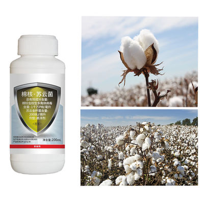 Eco-friendly HaNPV Bt Insecticide with 10 Million PIB/mL HaNPV for Cotton Crops at 3200~6400mL/Ha Dosage