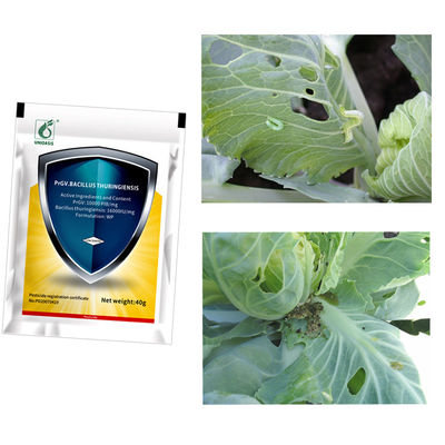 PrGV 0.2% Bt Biological Vegetable NPV Insecticides Kill Tomato Plant Bug Cabbage Worm