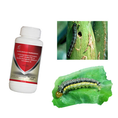 Spray for Vegetable Fruit Plants Biological Maize Crop Best Pesticides AcNPV Killing Agriculture Pests