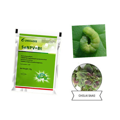 Organic Pesticide with Organic Certification No Residue Effective Against Cabbage Worm Biological Insecticide