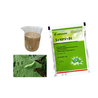 Vegetable Common Pests Beet Armyworm Spodoptera Exigua Killing Biological Pesticide SeNPV 
