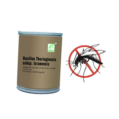 Mosquito Larvae Insecticide Pool Killing BTi Most Effective Wriggler Trap