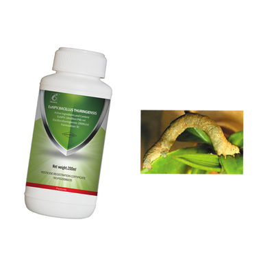Organic tea safe insecticide EoNPV bacillus thuringiensis for tea geometrid killing 