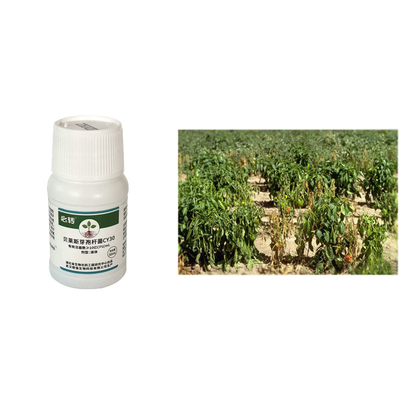 National Invention Patent Bactericide Chili Promote Growth Robust Seedling Thick Green Leaves