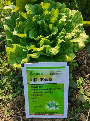 Stubborn Pests Elimination for Farm Vegetable Healthy Organic Pesticide Without Residue