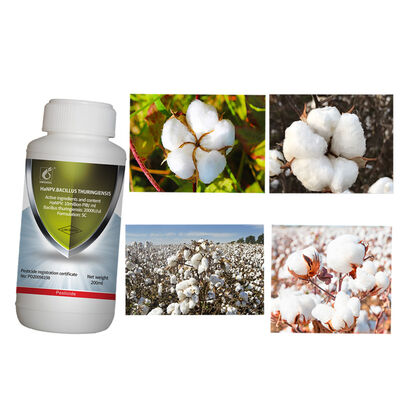 Unioasis HaNPV Bt Bollworm Killer Biological Insecticide for Cotton Pest Control with 16000 IU/mg Active Content and No Residue