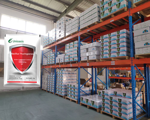 Pure Biological Powder 16000 IU/mg BT Factory Supply Control Vegetables Rice Corn Pests