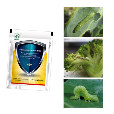 Bio Pesticide PrGV Kill Diamondback Moth Killing Pest in Cauliflower Tomato Broccoli Crops
